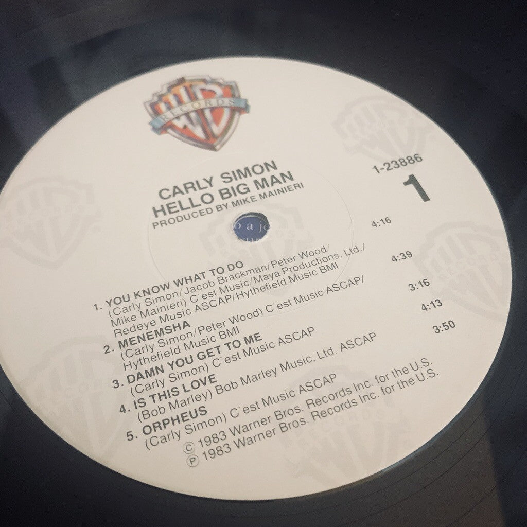 Carly Simon HELLO BIG MAN Vinyl Record LP 1-23886 VG+ vinyl and sleeve