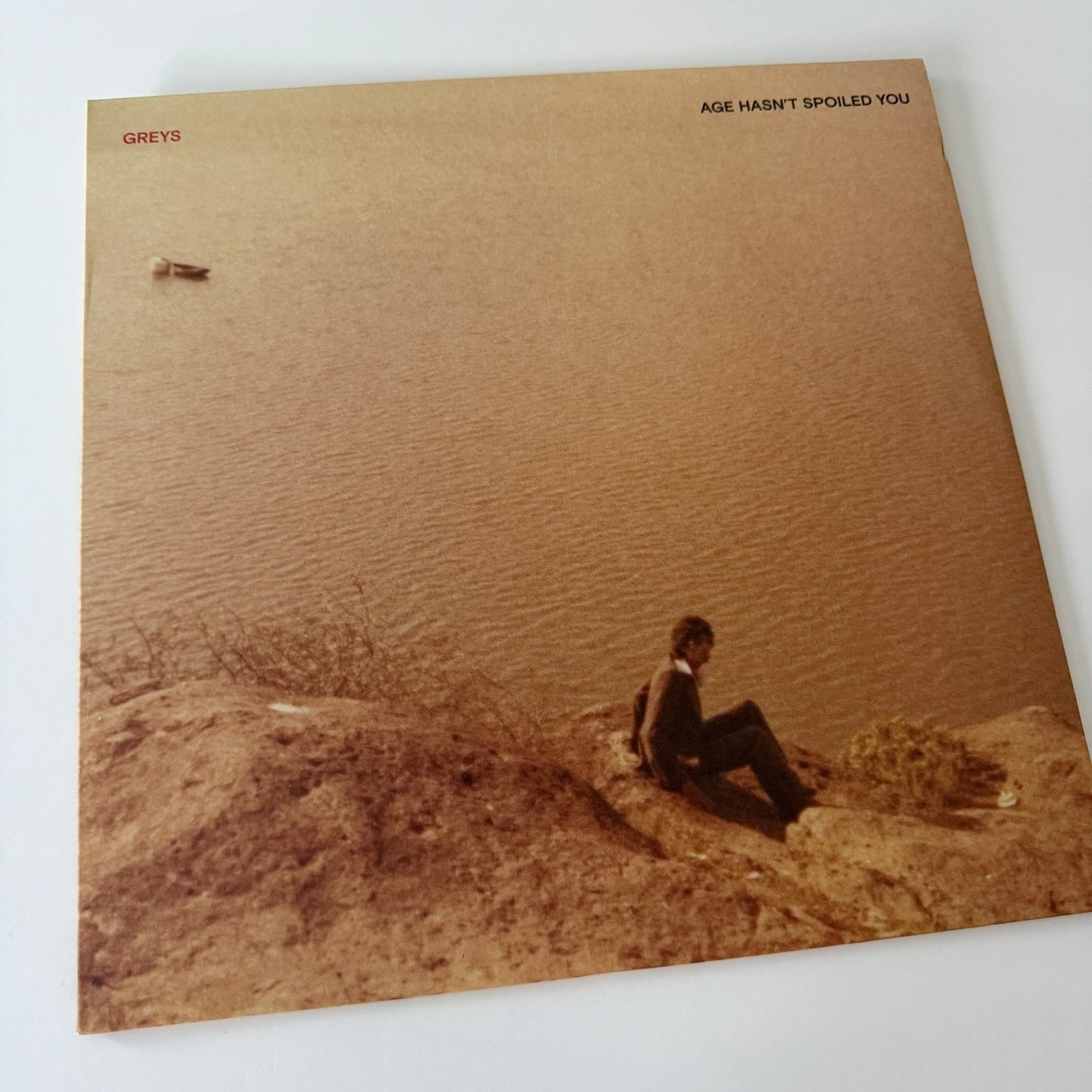 Greys AGE HASN’T SPOILED YOU Vinyl LP Record NEW