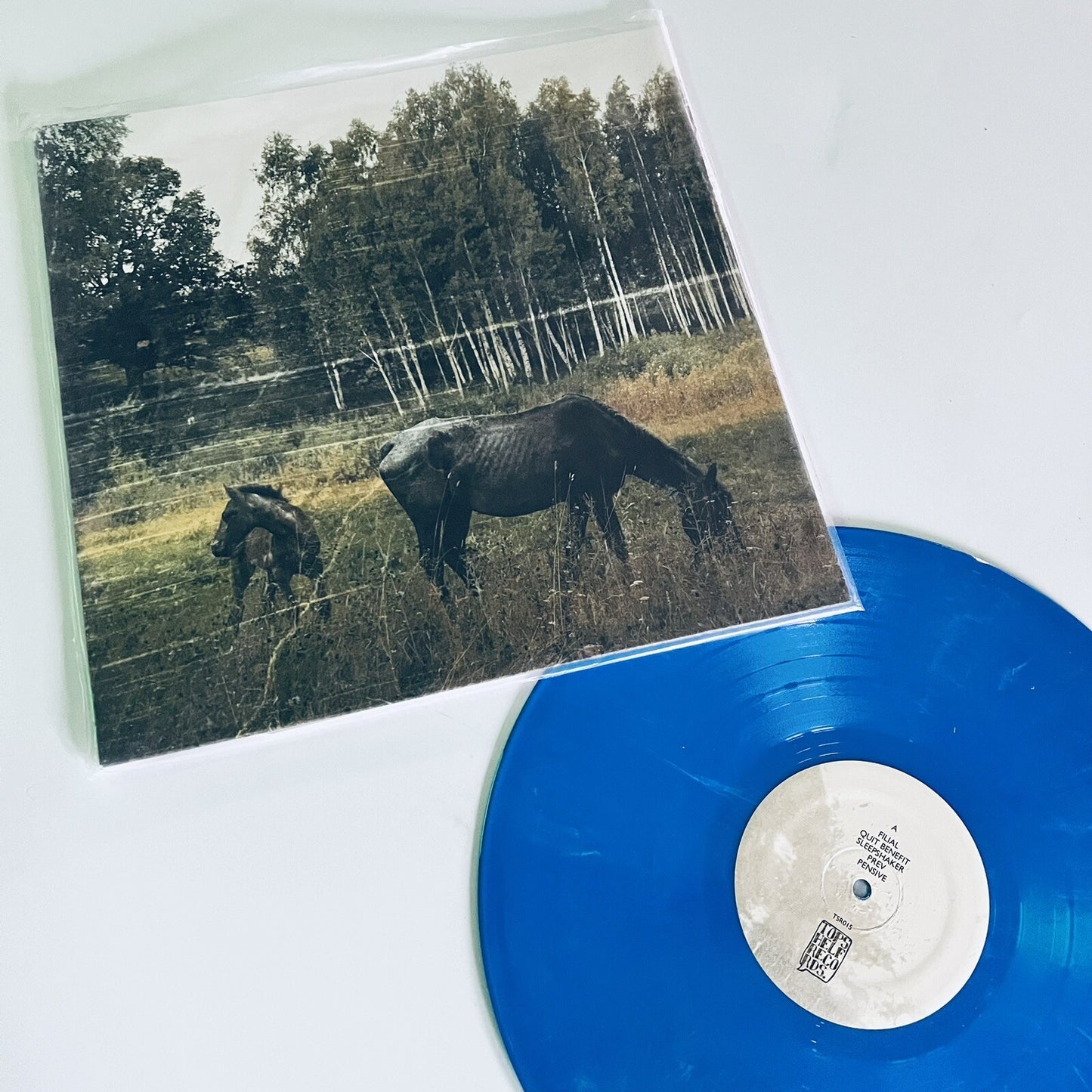 Pianos Become the Teeth OLD PRIDE Color Vinyl LP Record UNPLAYED Mint DOWNLOAD