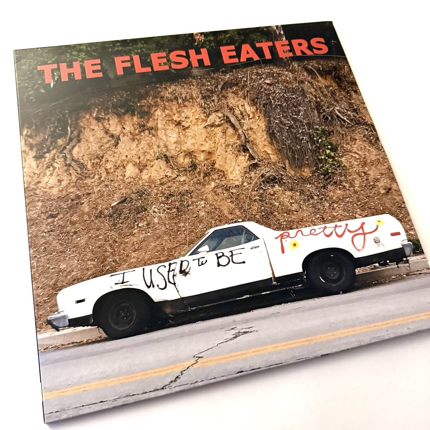 The Flesh Eaters I USED TO BE SO PRETTY Vinyl LP Record New