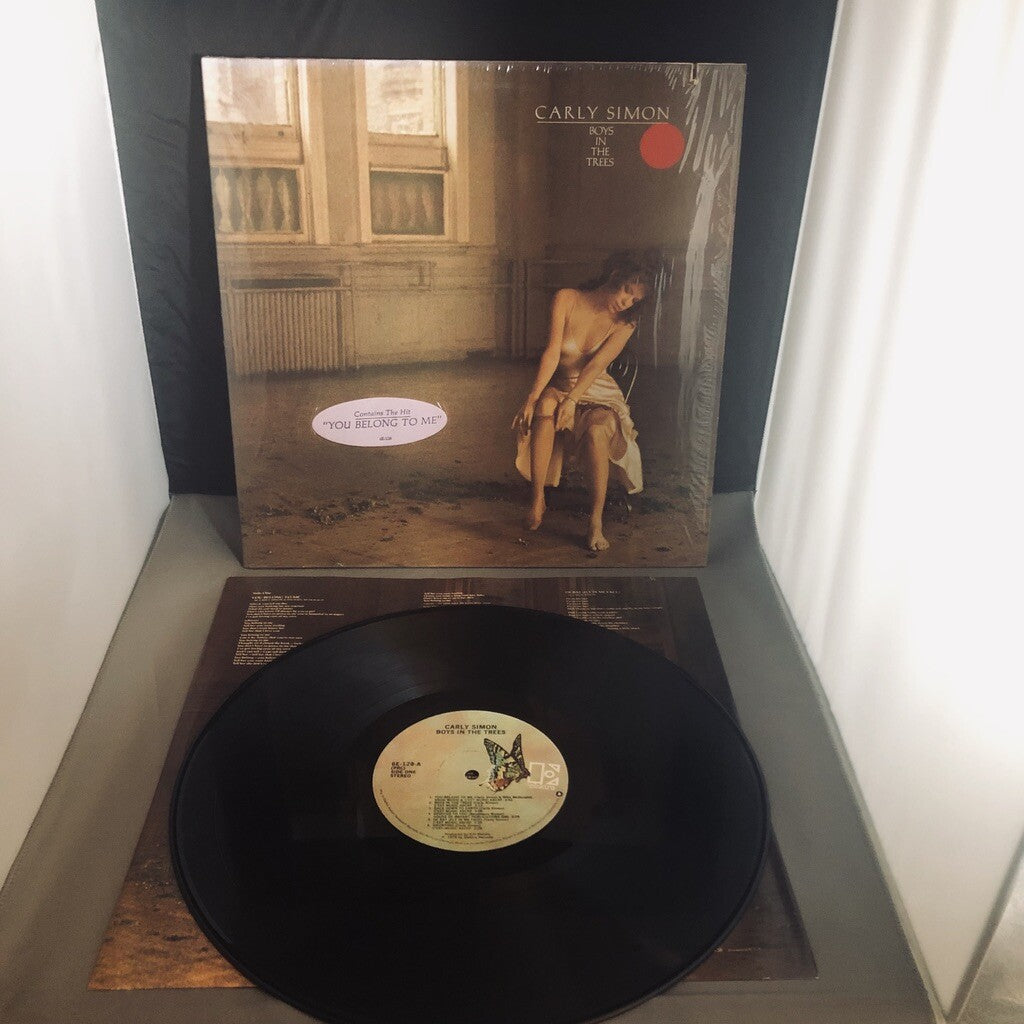 Carly Simon BOYS IN THE TREES Vinyl Record LP 6E-128 VG+ vinyl and VG sleeve