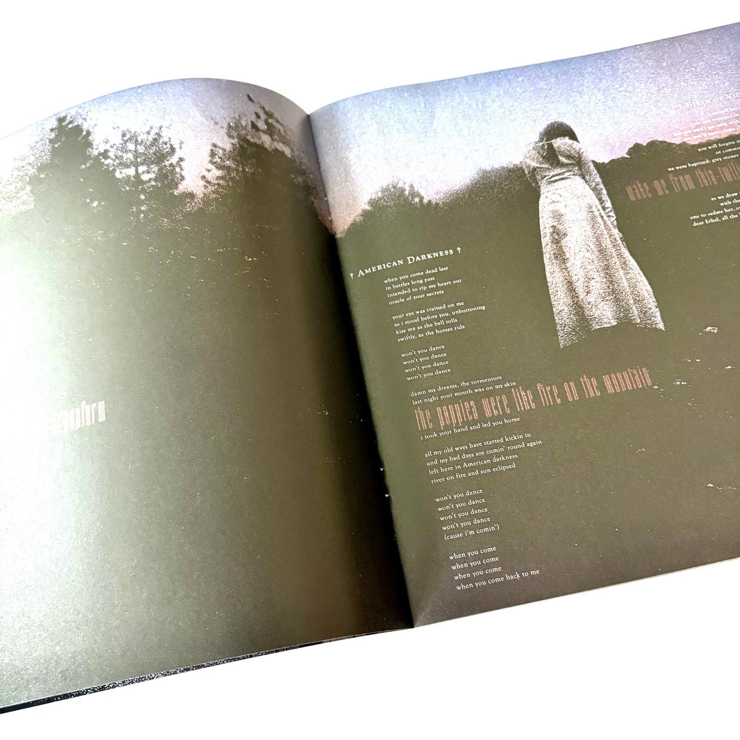 Chelsea Wolfe Birth of Violence Records & LPs New