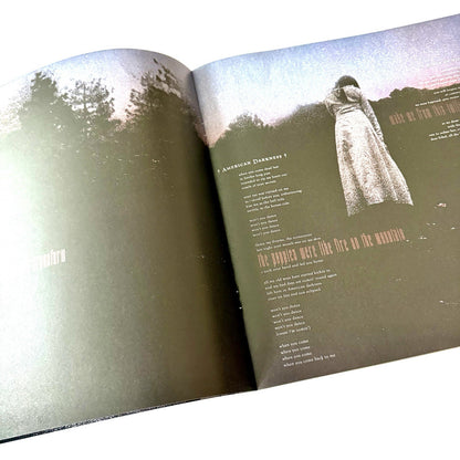 Chelsea Wolfe Birth of Violence Records & LPs New