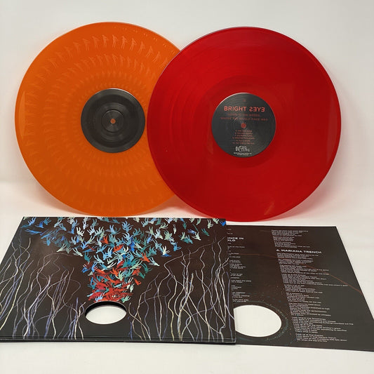Bright Eyes DOWN IN THE WEEDS WHERE THE WORLD ONCE WAS Color Vinyl 2xLP Record