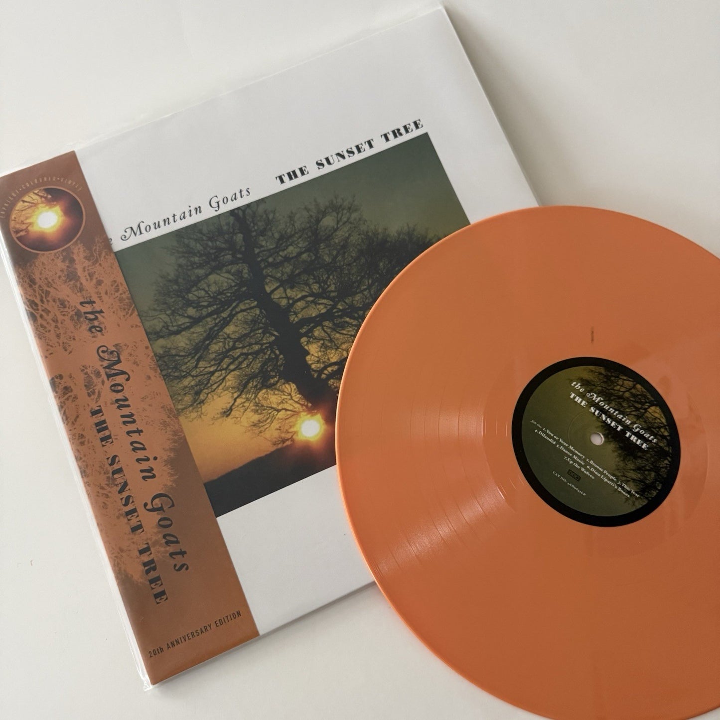 Mountain Goats THE SUNSET TREE Vinyl LP Record NEW