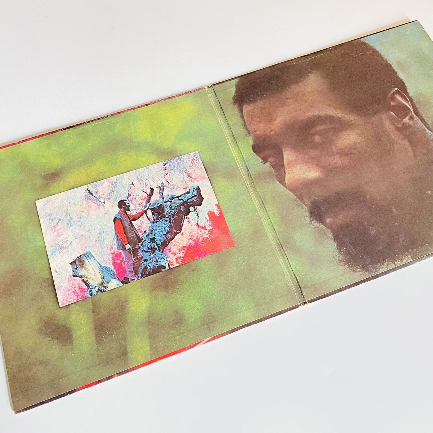 RicHie Havens RICHIE P. HAVENS 1983 Vinyl LP Record VG+ VERVE