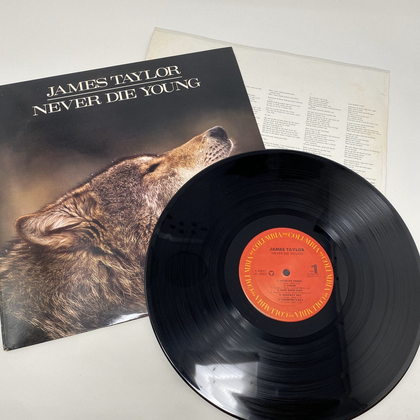 James Taylor NEVER DIE YOUNG Vinyl LP Record VG+