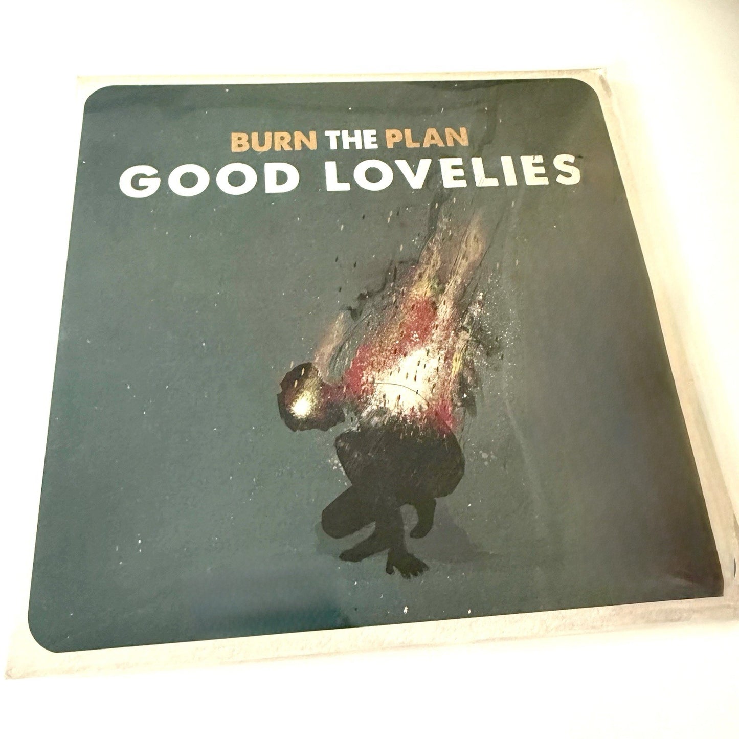 Good Lovelies BURN THE PLAN Vinyl LP Record NEW