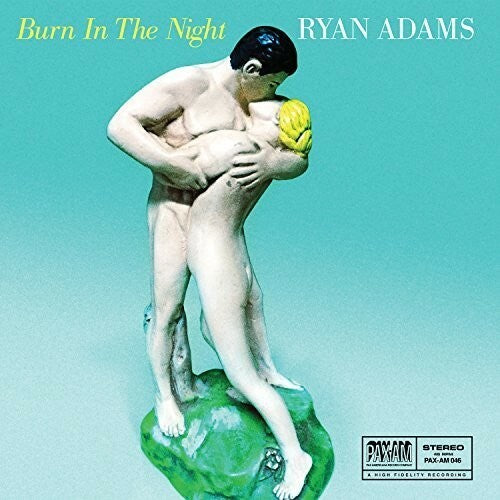 Ryan Adams 45 rpm 7" vinyl record Burn In The Night 2015