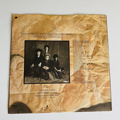 The Alarm - Where Were You Hiding When The Storm Broke 12" VG+ IRSX 101 UK 45
