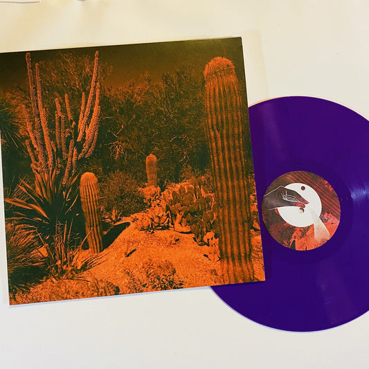 Cameron Knowler & Eli Winter ANTICIPATION Colored Vinyl LP Record NEW