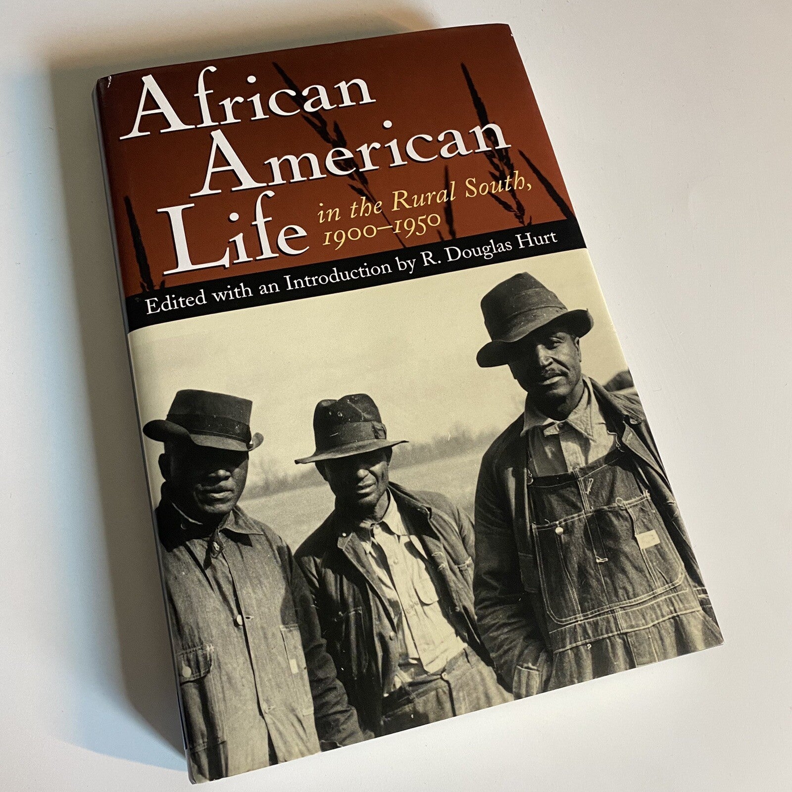 African American Life in the Rural South, 1900-1950 (Hardcover) by R. Douglas Hu