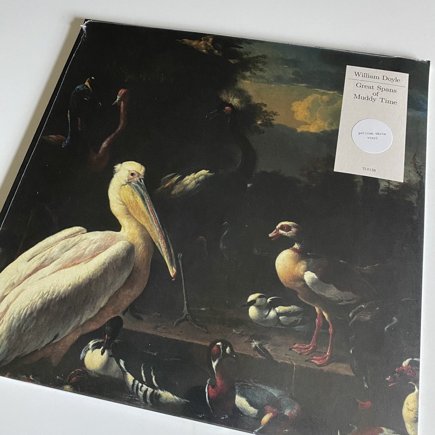 William Doyle GREAT SPANS OF MUDDY TIME Color Vinyl LP Record NEW SEALED