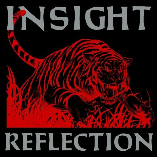 Insight REFLECTION Color Vinyl LP Record LIMITED EDITION + EP New Sealed