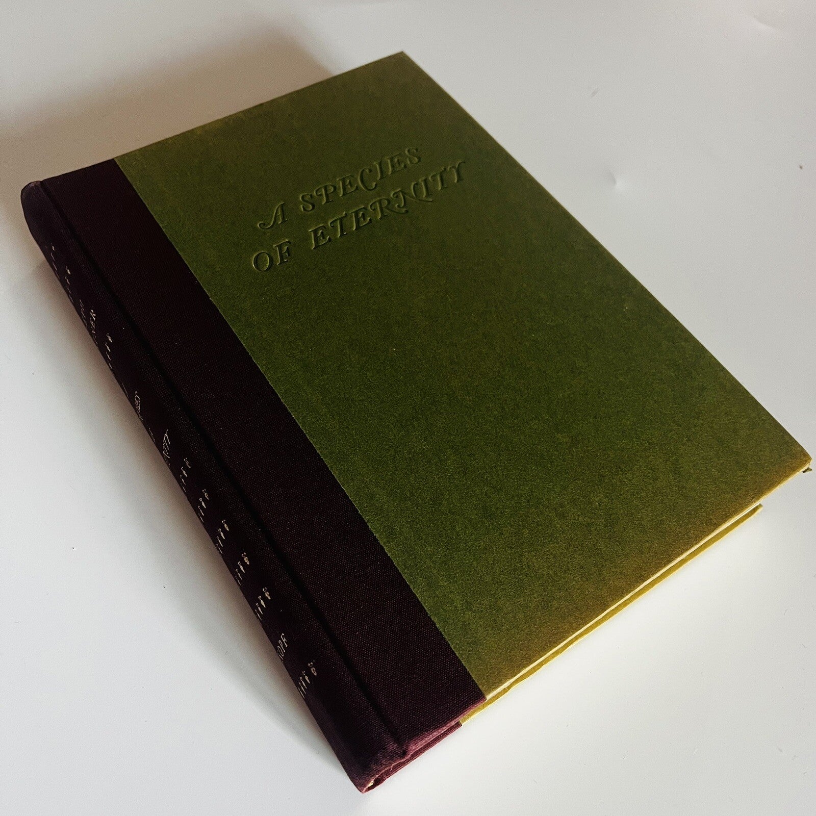 A Species of Eternity By Joseph Kastner, first edition, 1977 HARDCOVER VG++