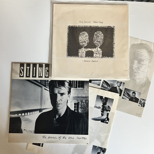 Sting & Andy Summers DREAM OF BLUE TURTLES + ADVANCE MASKED Vinyl LP Records VG+