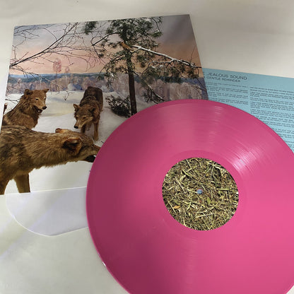 The Jealous Sound A GENTLE REMINDER Color Vinyl LP Record NM