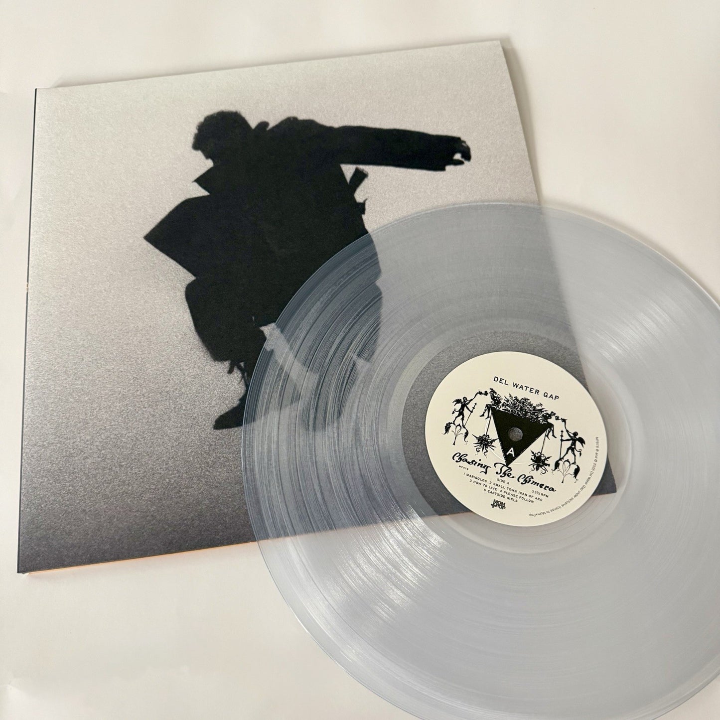Del Water Gap CHASING THE CHIMERA Color Vinyl LP Record NEW Sealed