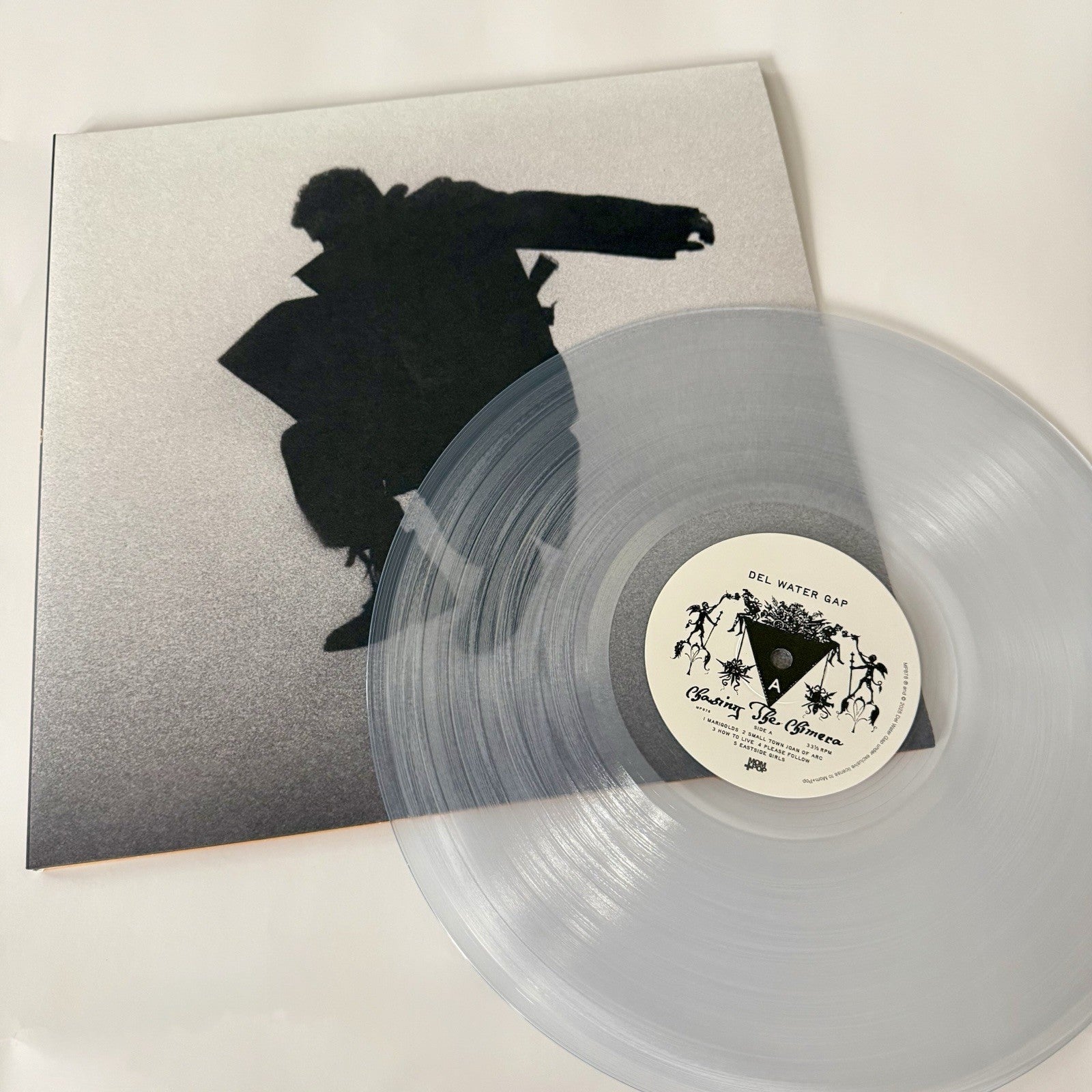 Del Water Gap CHASING THE CHIMERA Color Vinyl LP Record NEW Sealed