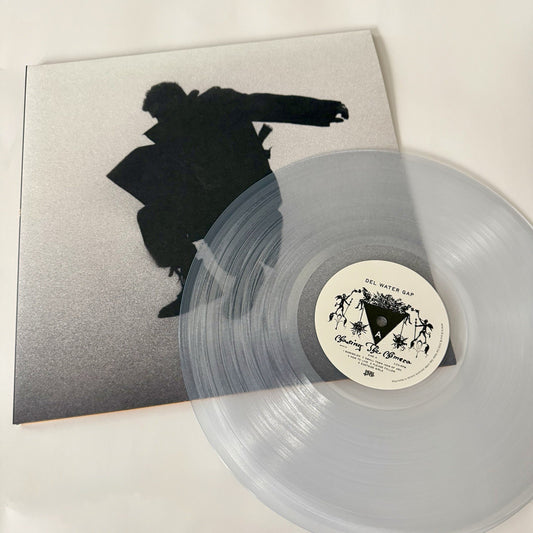 Del Water Gap CHASING THE CHIMERA Color Vinyl LP Record NEW Sealed