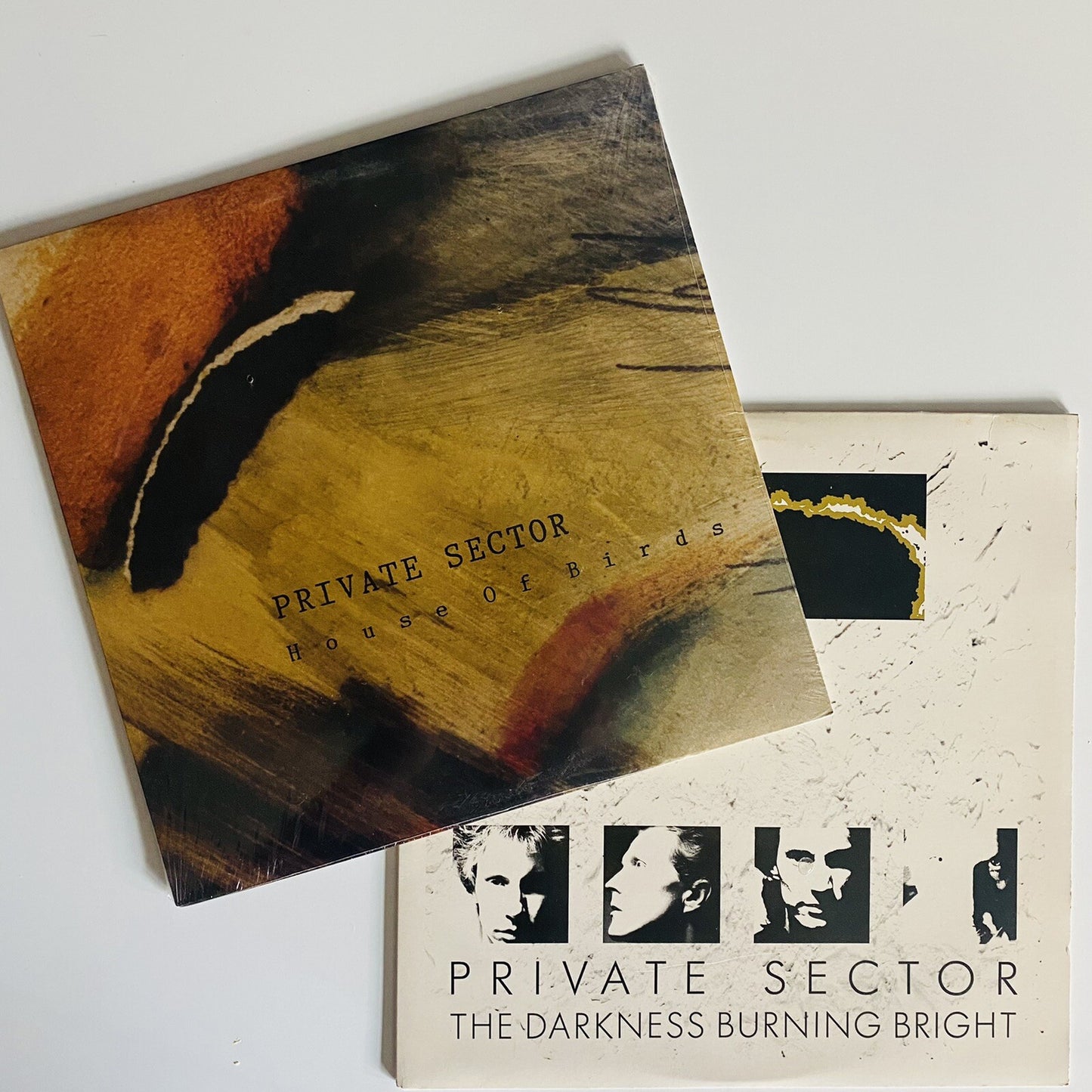 Private Sector HOUSE OF BIRDS + DARKNESS BURNING BRIGHT Vinyl LP Record NM/VG+