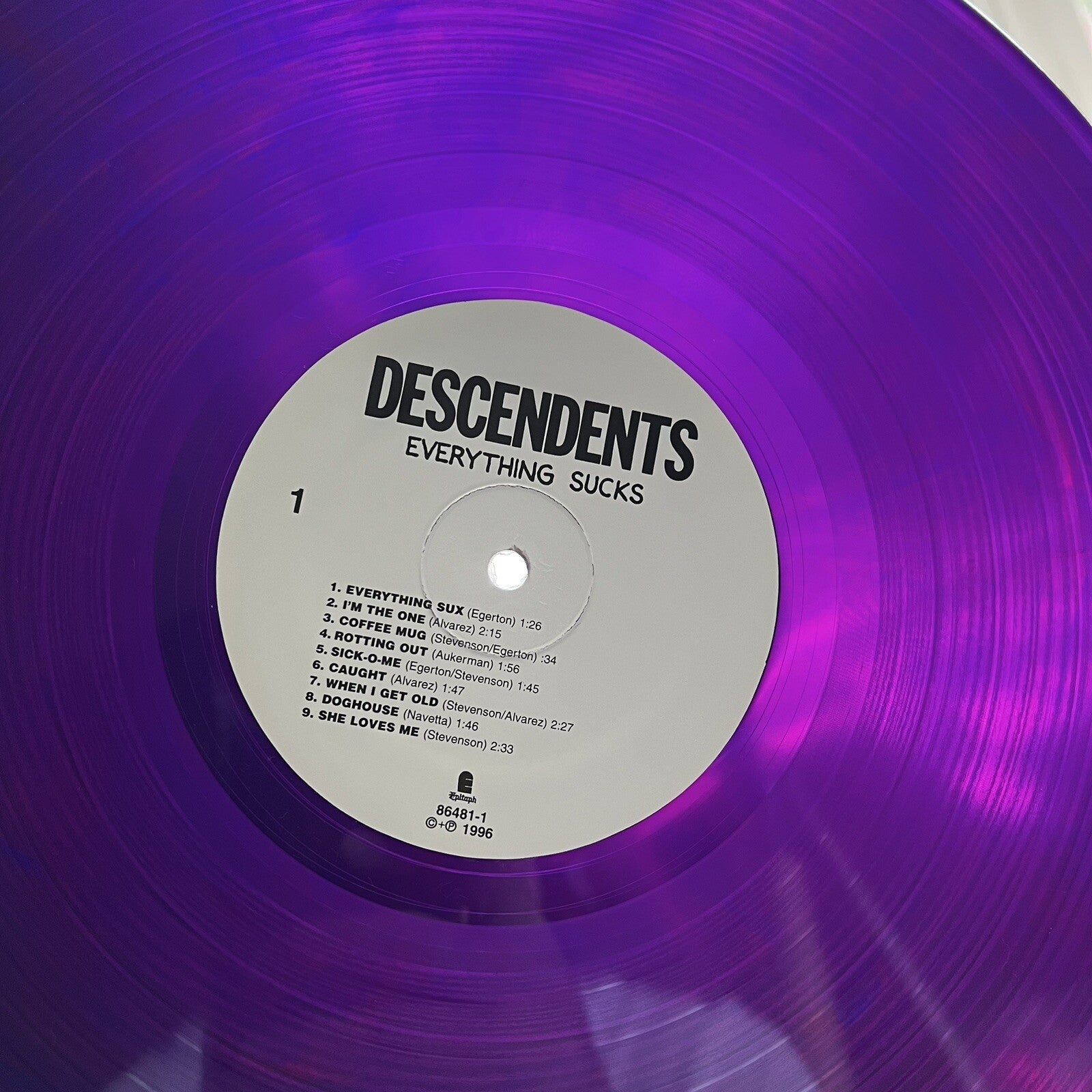 Descendents EVERYTHING SUCKS Color Vinyl LP 180g Record UNPLAYED