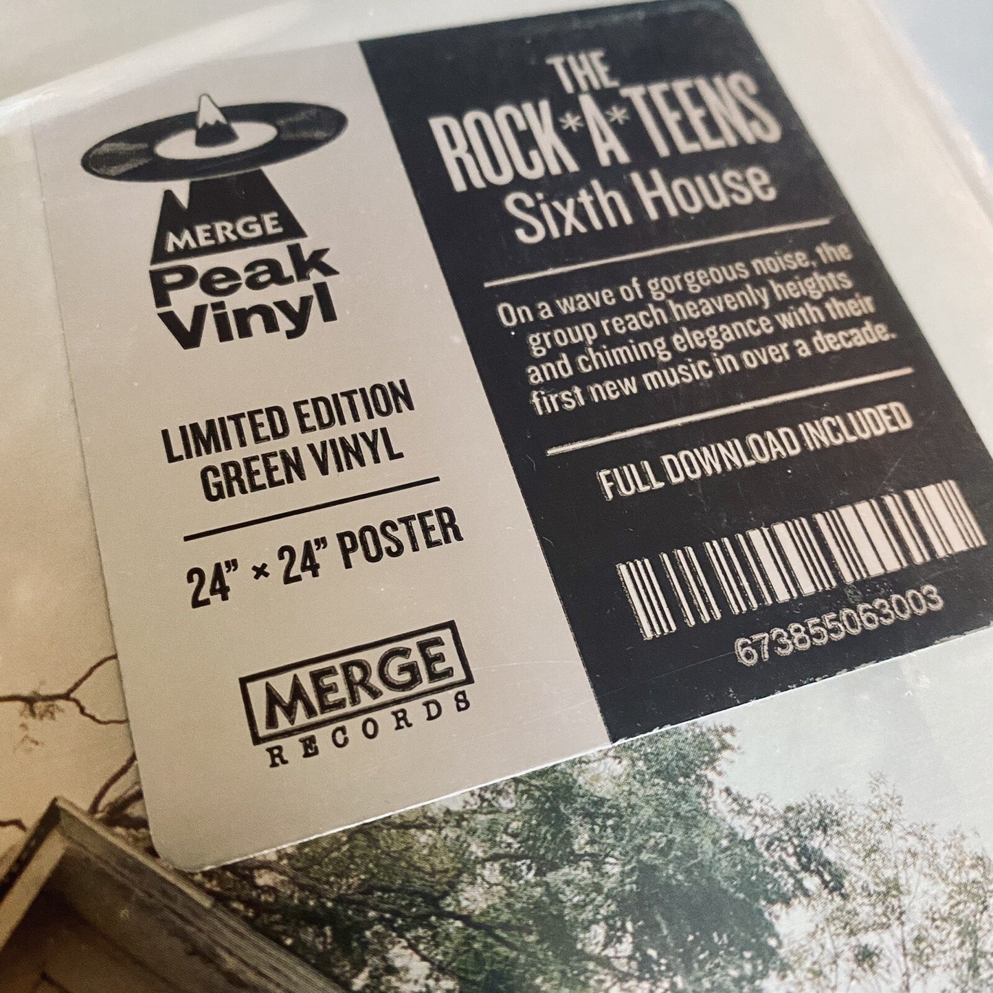 Rock A Teens SIXTH HOUSE Color Vinyl LP Record MINT NEW Sealed