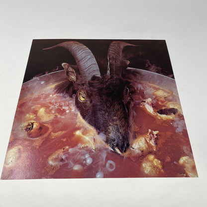 RollingbStones GOATS HEAD SOUP Vinyl LP Record w/flat VG+/VG+