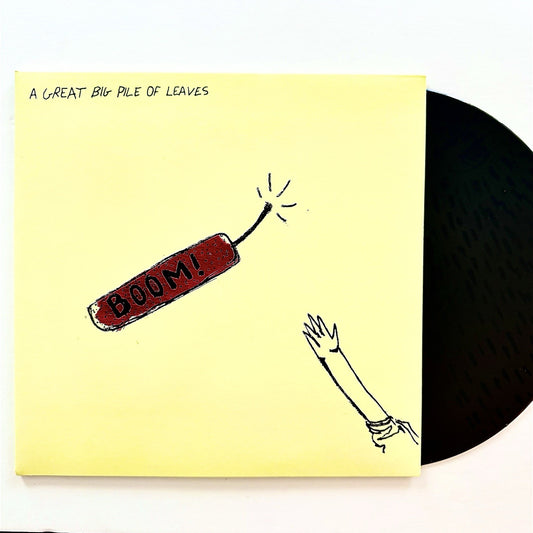 A Great Big Pile of Leaves BOOM! Vinyl EP Record NEW Etched B-side