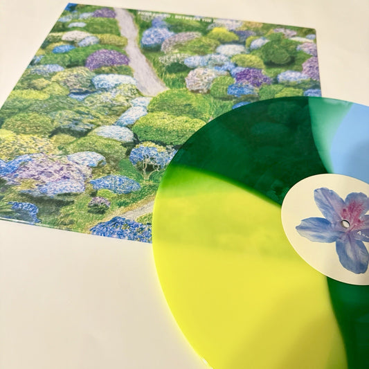 Fiddlehead BETWEEN THE RICHNESS Color Vinyl LP Record NM