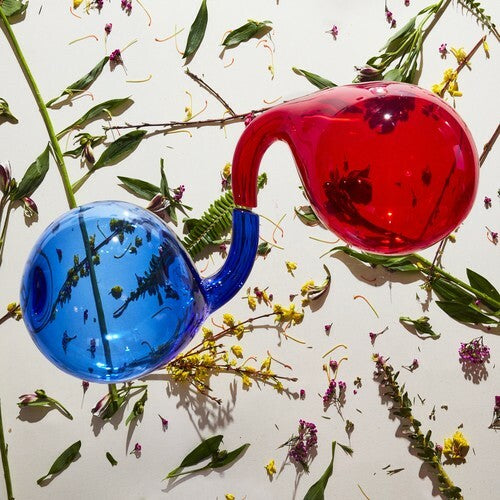 Dirty Projectors LAMP LIT PROSE Vinyl LP Record NEW SEALED