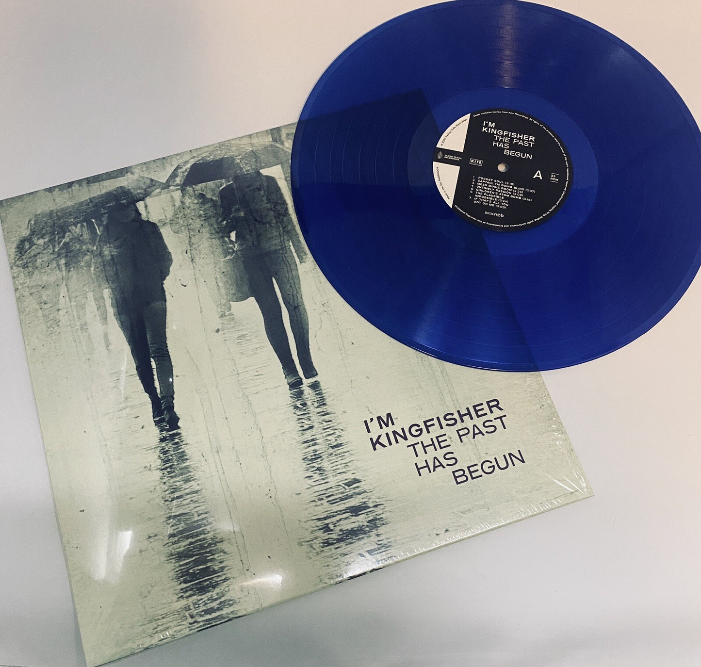 I'm Kingfisher PAST HAS BEGUN Color Vinyl LP Record SWEDISH FOLK New