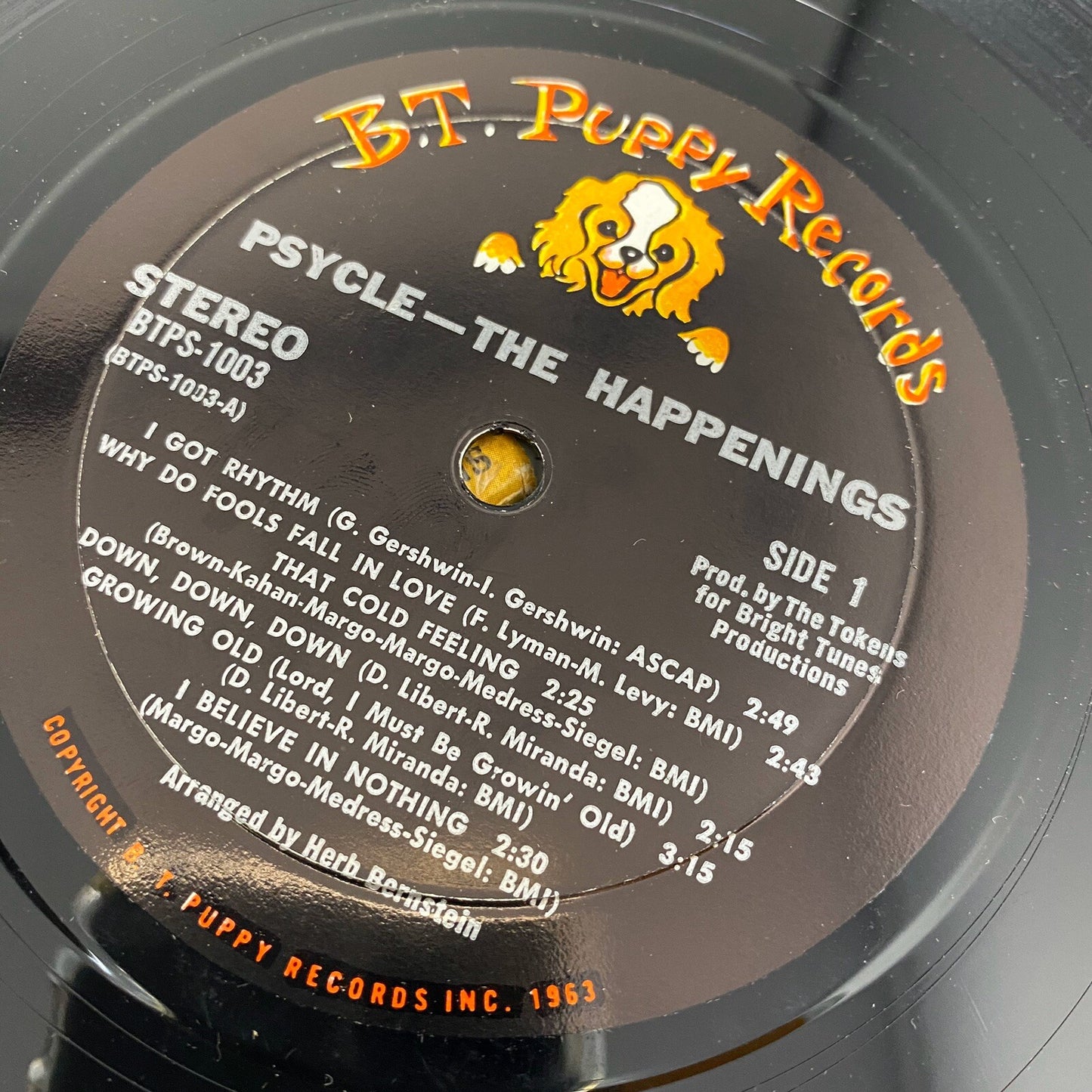 The Happenings PSYCLE Vinyl LP Record VG