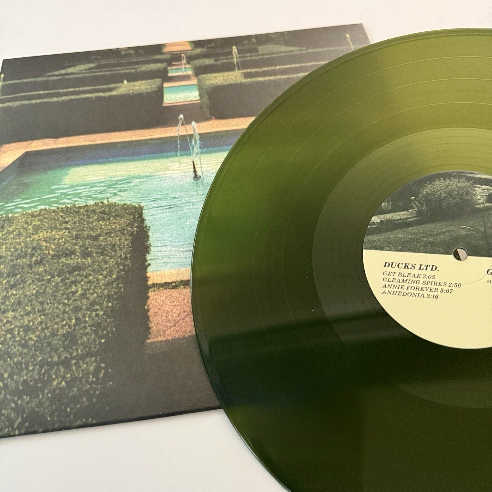 Ducks GET BLEAK Color Vinyl LP Record NEW