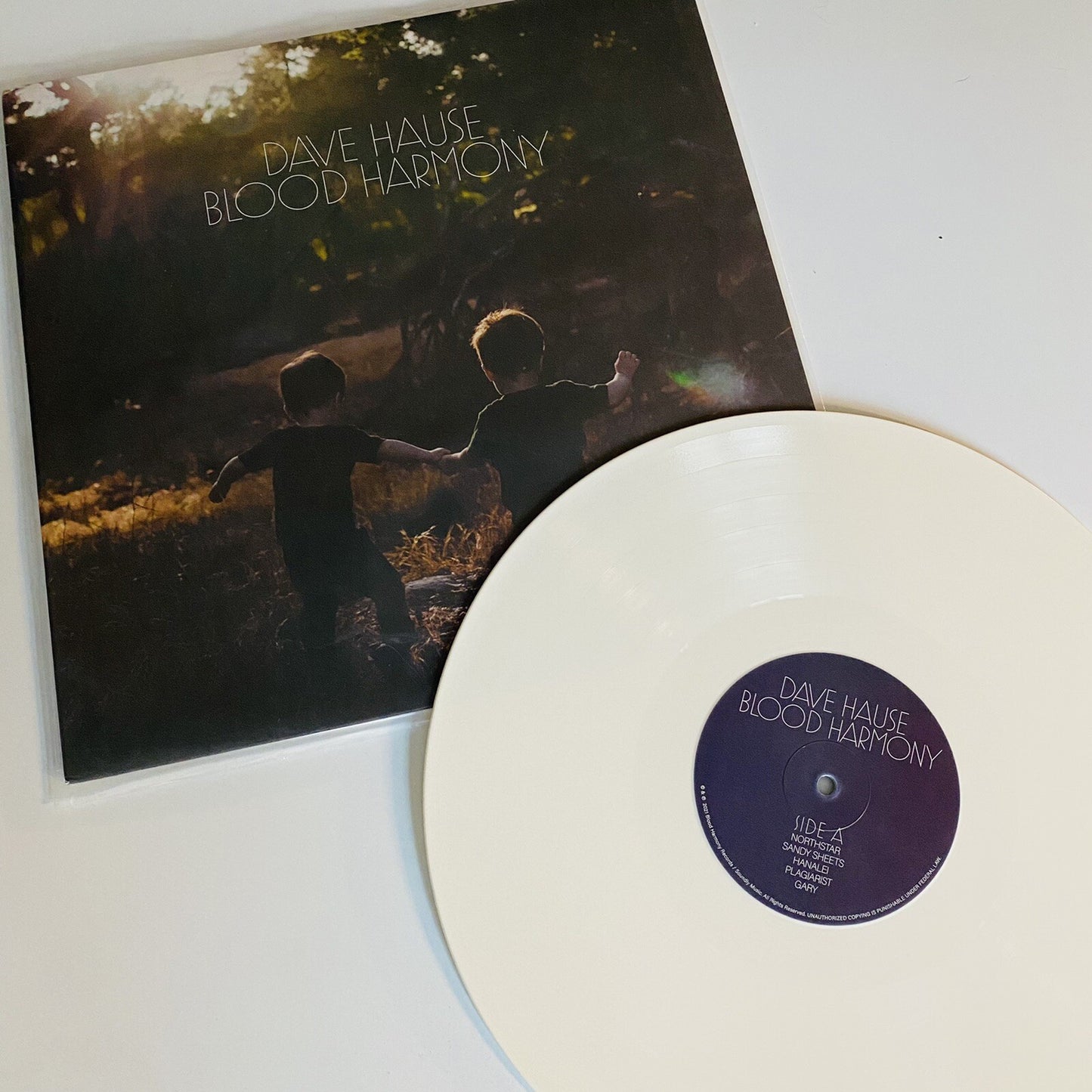 Dave Hause BLOOD HARMONY Color Vinyl LP Record NEW Sealed