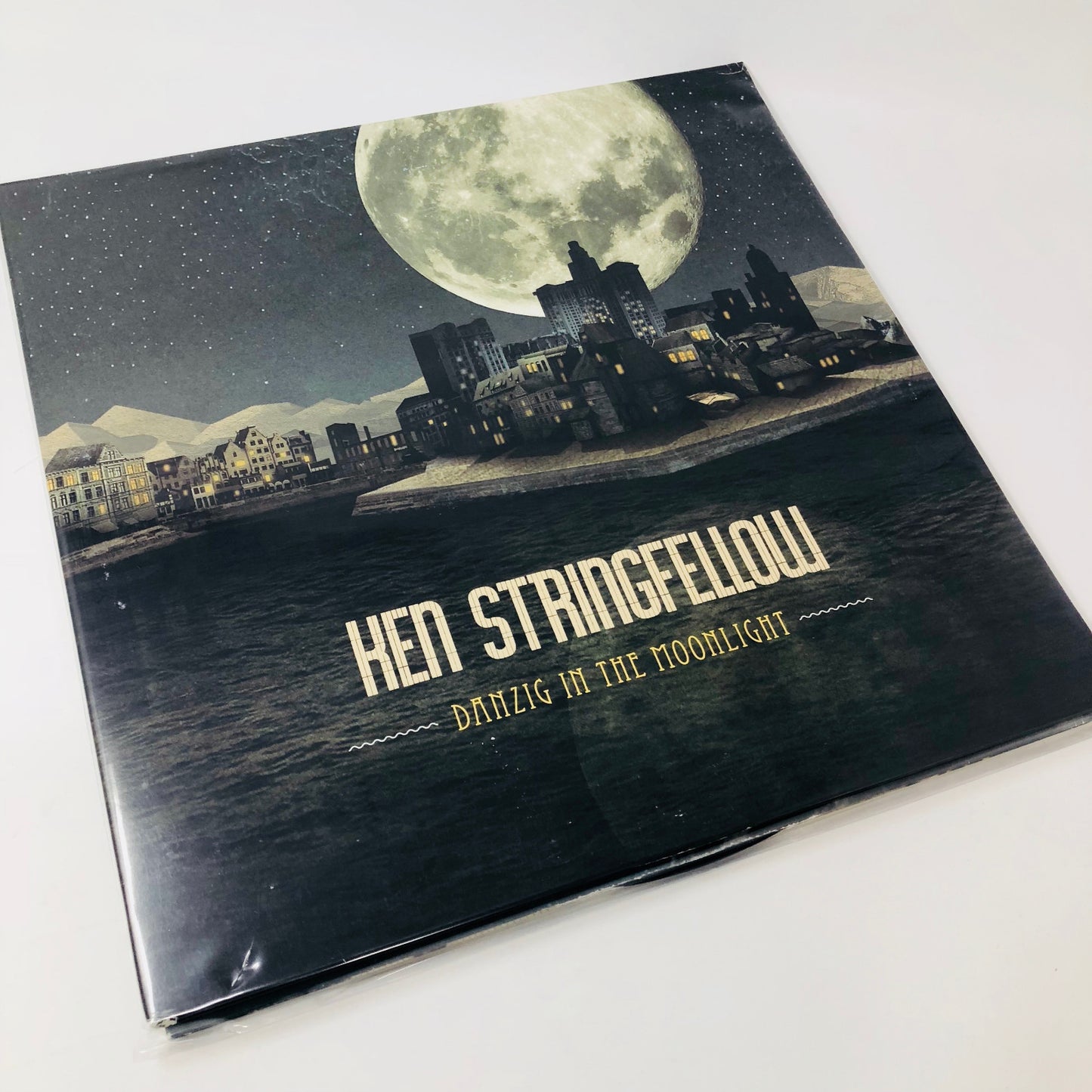 Ken Stringfellow (The Posies) DANZIG IN THE MOONLIGHT Vinyl LP Record—NVR PLAYED