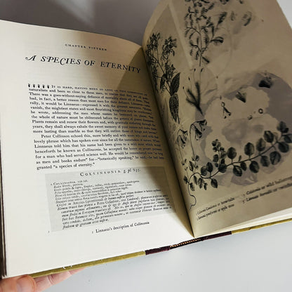 A Species of Eternity By Joseph Kastner, first edition, 1977 HARDCOVER VG++
