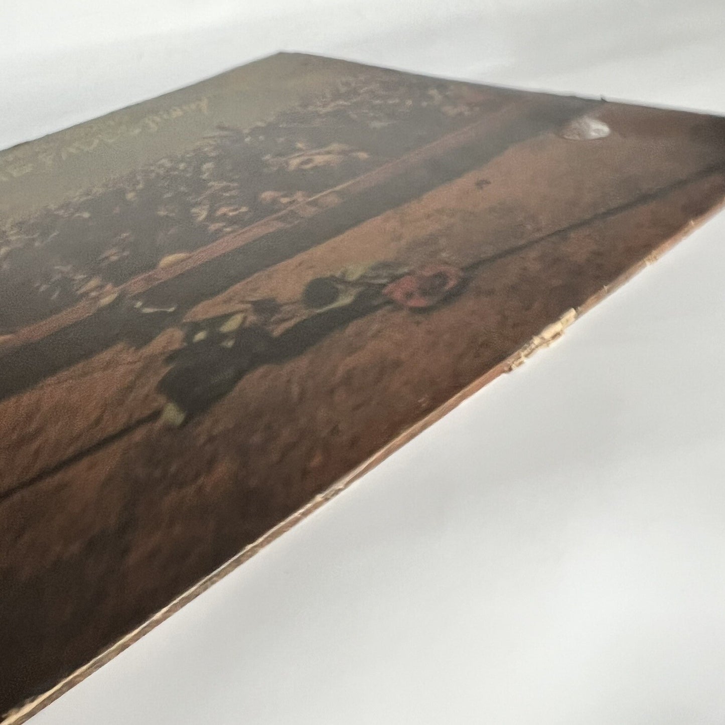Neil Young TIME FADES AWAY Vinyl LP Record w/lyric poster VG/VG+ 1973