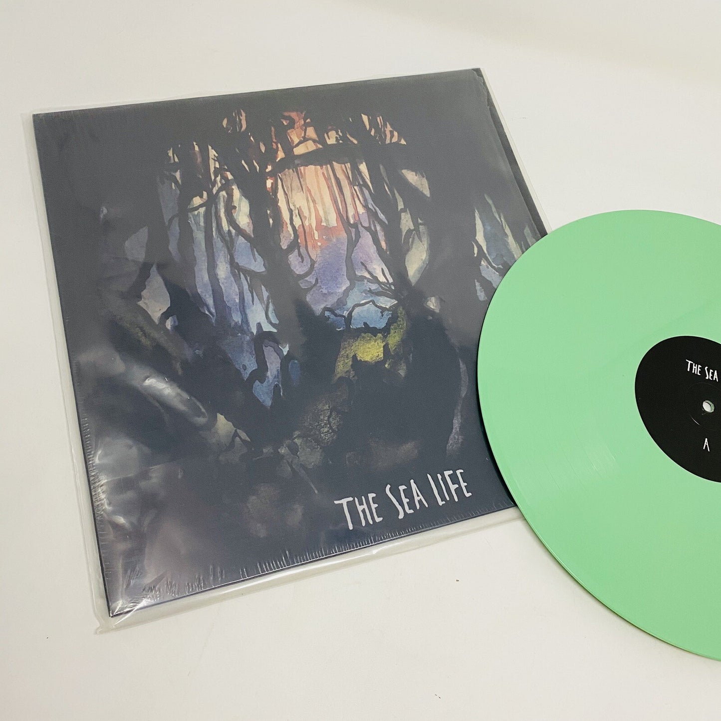 The Sea Life THE SEA LIFE Color Cibyl LP Record NM Near Mint 