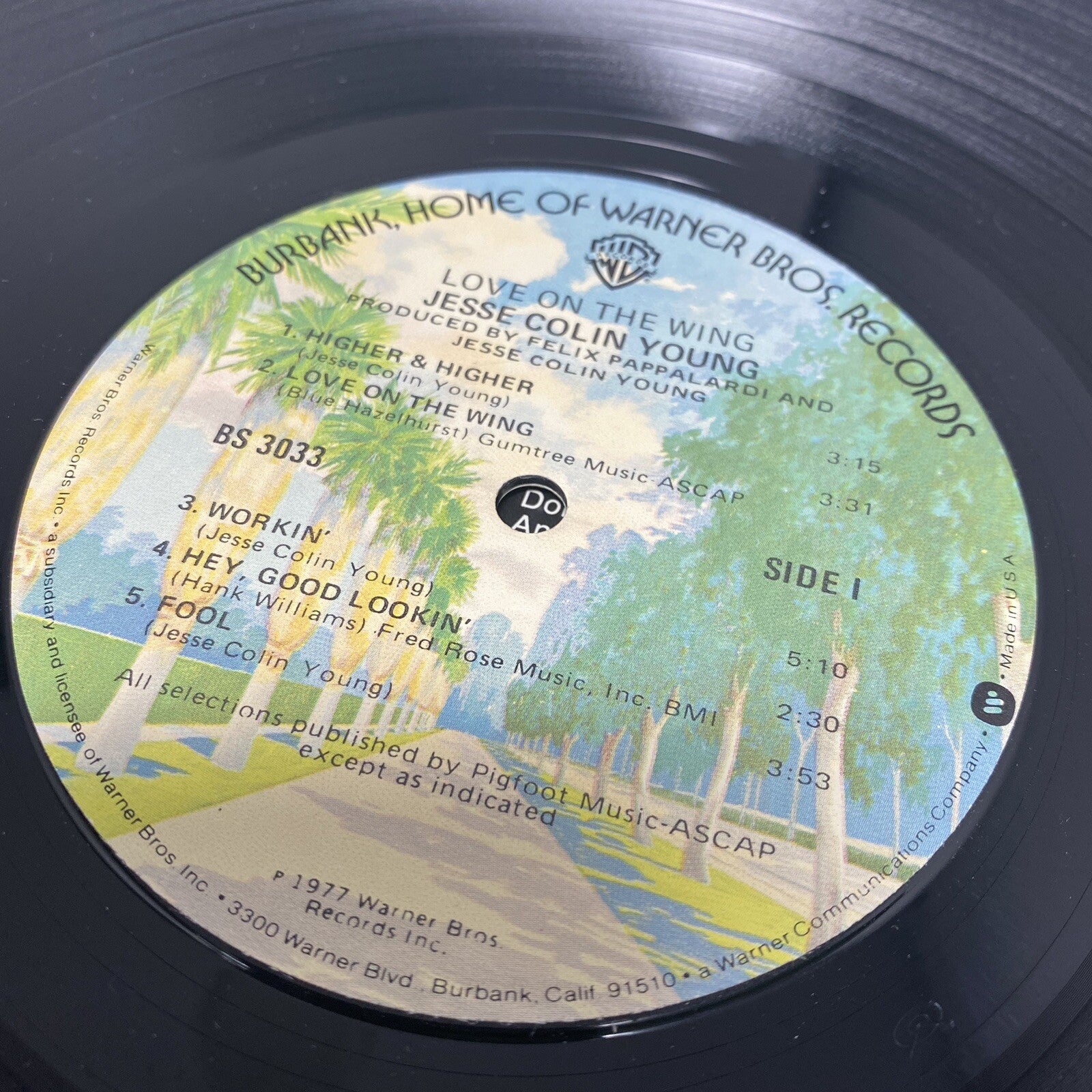 Jesse Colin Young (Youngbloods) ‎LOVE ON THE WONG Vinyl LP Record 1977 VG+