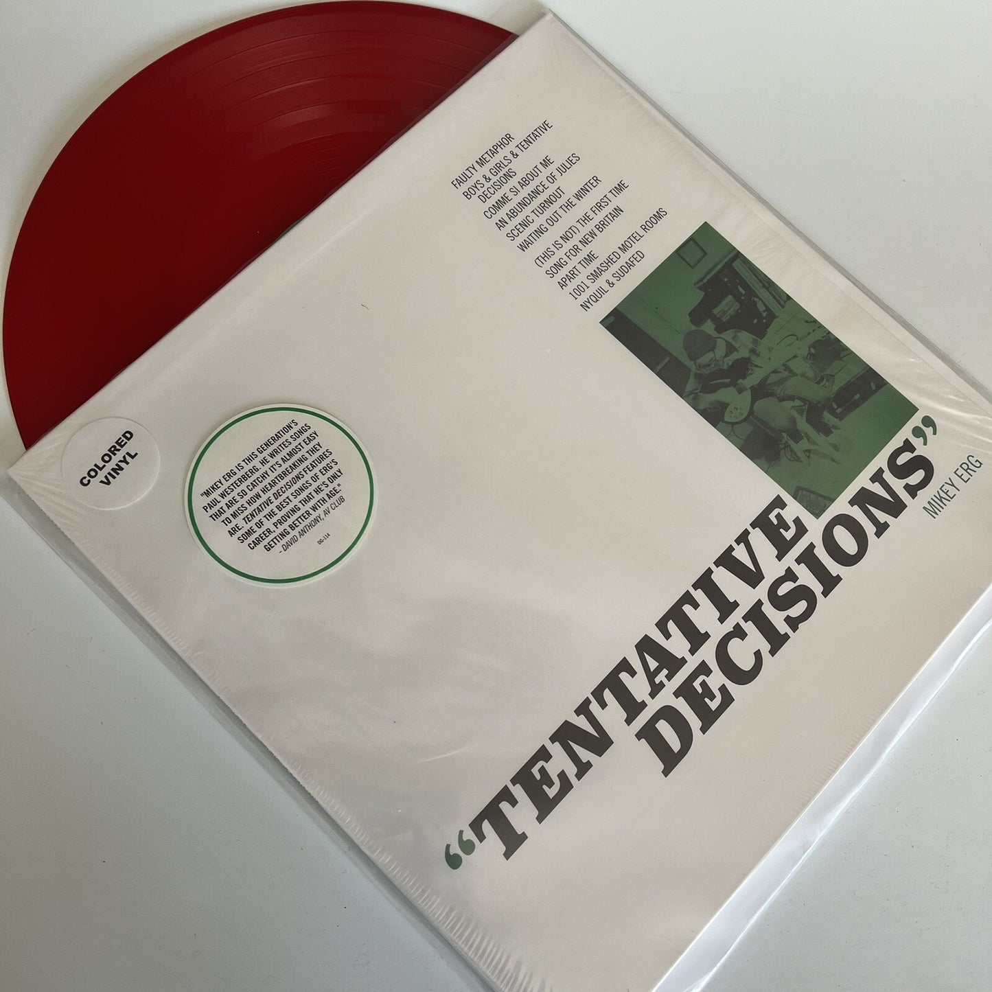 Mikey Erg TENTATIVE DECISIONS Color Vinyl LP Record UNPLAYED M/NM