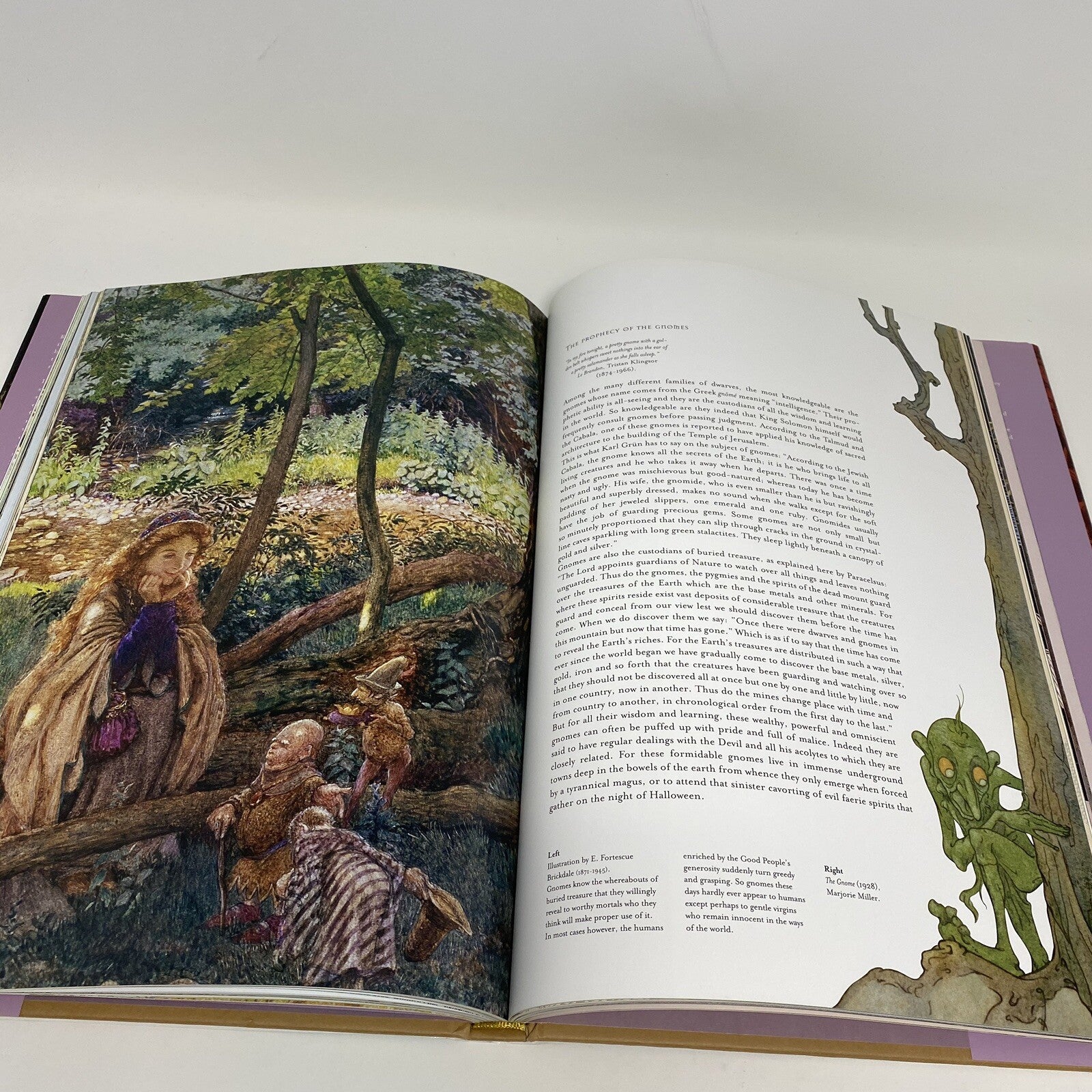 FAERIES and DEMONS and OTHER MAGICAL CREATURES by Edouard HARDBACK 2002