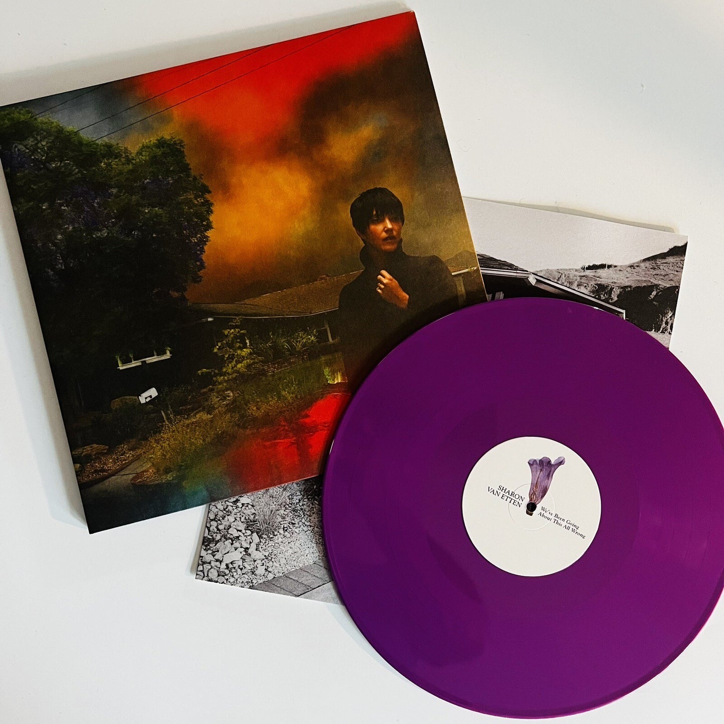 Sharon van Etten WE’VE BEEN GOING… Color Vinyl LP Record M Unplayed