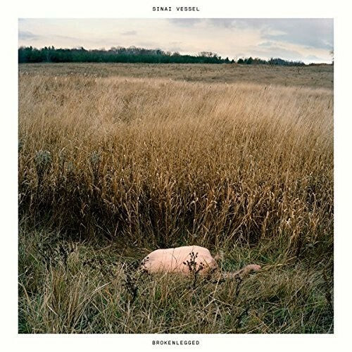 Sinai Vessel BROKENLEGGED Color Vinyl LP Record NM UNPLAYED