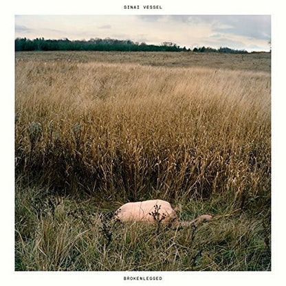 Sinai Vessel BROKENLEGGED Color Vinyl LP Record NM UNPLAYED