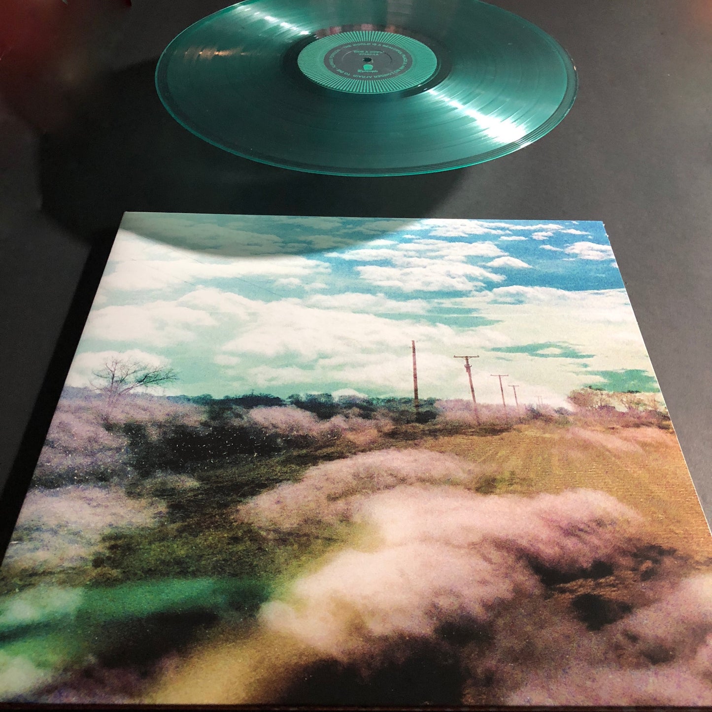 The World Is a Beautiful Place & I Am No... ALWAYS FOREIGN Clear Vinyl LP Record