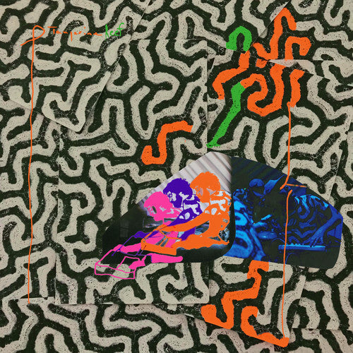 Animal Collective TANGERINE REEF Vinyl 2xLP Records NEW SEALED