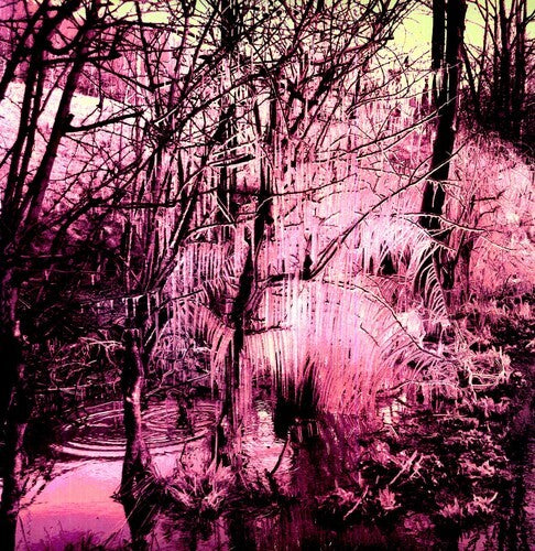 Esben The Witch VIOLET CRIES Vinyl LP Record SEALED New