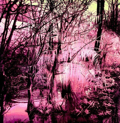 Esben The Witch VIOLET CRIES Vinyl LP Record SEALED New